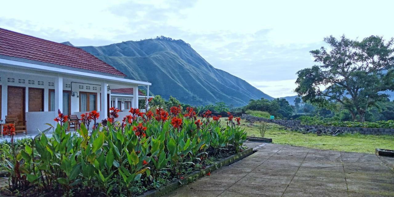 Rinjani Hill Hotel Sembalunlawang Extérieur photo